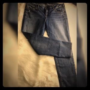 Plus Size Silver Jeans